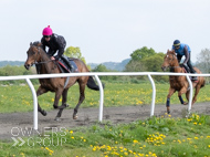 DM240425-11 - Camarrate (leading)